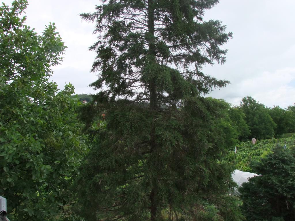 Levente Apartman Balatongyörök Extérieur photo